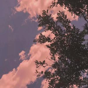 中文字幕a有搜索网站
