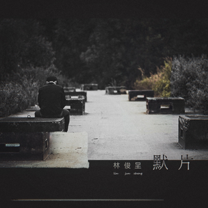 中文字幕a有搜索网站
