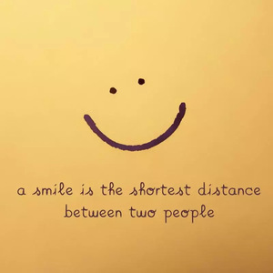 中文字幕a有搜索网站
