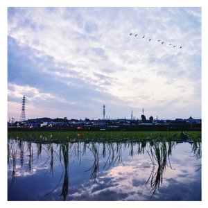 中文字幕a有搜索网站
